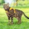 PUPTECK Cat Harness and Leash Set Escape Proof, Reflective Adjustable