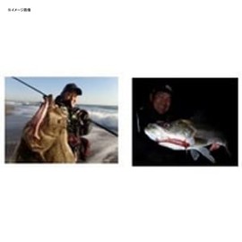 Daiwa Worm Moissanite Chivas Rodem 0.6 oz (18 g) Moon Ei Sardine (TS Color)