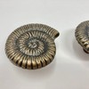 Antique Bronze Sea-Life Marine Nautical Drawer Knobs, Bathroom, Cupboards, Dresser