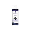 Elabore Acai Berry Super (Sulfate Free) Shampoo 16.06fl.oz/ 475ml