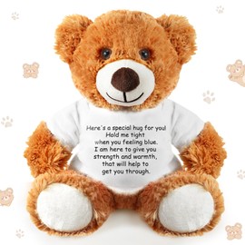 Lenwen A Bear Hug Gift Get Well Soon Bear Gift Plush Stuffed Animal Bear Hug Thinking of You Sympathy Gift for Women Kids Condolences Memorial Loved (Dark Brown)