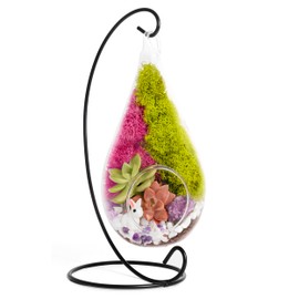 Creations by Nathalie - 7" Teardrop Glass Succulent Terrarium Kit for Kids and Adults, Reindeer Moss, Crystal & Rocks, Tools, Figurine, Metal Hanger (Live Plant Included)