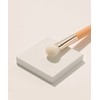 The Tool Lab 156 Small Cheek and Blending Brush