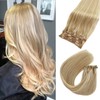 Valiilo Clip in Hair Extensions Human Hair Mixed Bleach Blonde