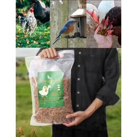 Euchirus Non-GMO High-Protein Large Dried Mealworms for Chickens, Natural Grubs and Poultry Treats as Chicken Feed,Duck Food, Wild Birds Seed,Fish Food,Reptile Food,Amphibian Food(Mealworms-5LB)