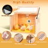JOGEPEYO Chick Brooder Box, Small Brooder Box for Chicks, 5-8