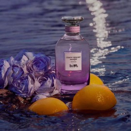 Coach Dreams Moonlight Eau de Parfum - 3.3 fl. oz.