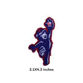 Chicago Bear Sport Patches Logos