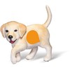 tiptoi® Golden-Retriever-Welpe