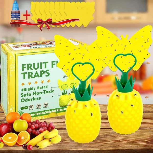 2X Fruit Fly Traps with Sticky Pads For Plant Indoor