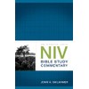 NIV Bible Study Commentary