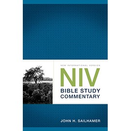NIV Bible Study Commentary