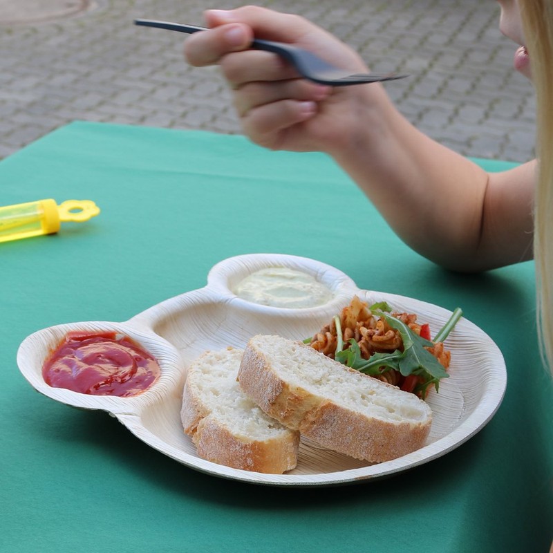 BIOZOYG Disposable Plates Children's Birthday 24 Pieces 22 x 24