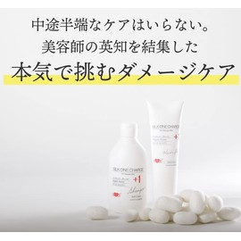 EARTHEART Hair Quality Improvement Damage Care Silk One Charge Shampoo & Hair Pack Set, Made in Japan, Salon Born
