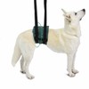 Ortocanis - Dog Lifting Harness with Movement Problems - Hind