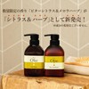 PAX Olive Citrus & Herb Hair Conditioner, 15.9 fl oz