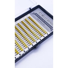 Alluring 5D Volume Lashes 0.05mm Thickness Eyelash Extensions - Pre-Made Fan Eyelashes for Professional Salon Use (5 in 1) (C Curl, Mixed (10-14mm))