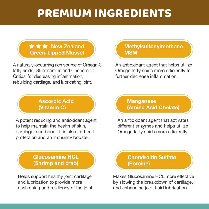 Wellnergy Natural Hip & Joint Care Supplement for Dogs -