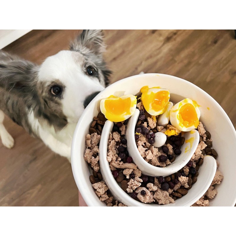 Slow Feeder Dog Bowl - 1.5 Cups Ceramic Puzzle Feeder