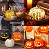 Dazzle Bright 4 Pack 6 FT Accessory Cord with LED