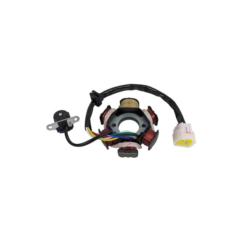 STATOR MAGNETO 6 COIL POLE COOLSTER MAX TRADE 110cc 125cc