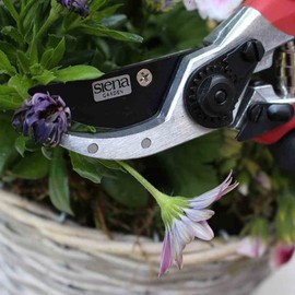 Siena Garden Secateurs 313253 Schneideflink 21 CM