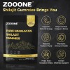 ZOOONE Pure Himalayan Shilajit Gummies – 60 Count – Gold