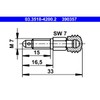 ATE 03.3518-4200.2 Bleeder Screw/Valve