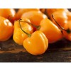 Sazonador Habanero Limón 1 Kg.