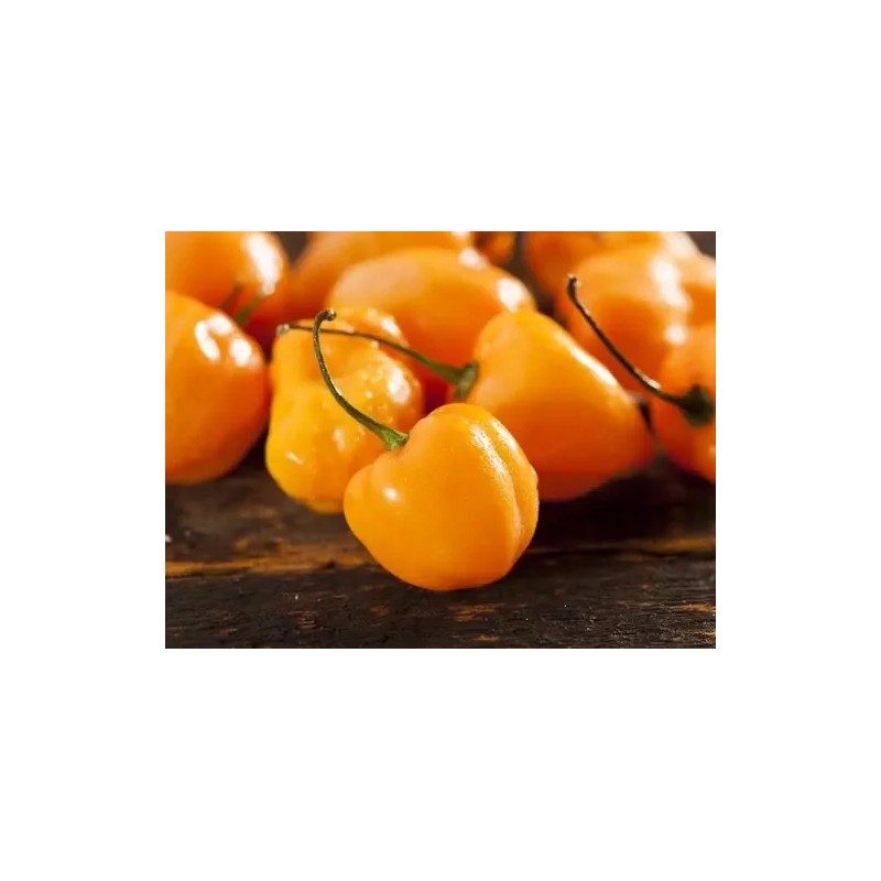Sazonador Habanero Limón 1 Kg.