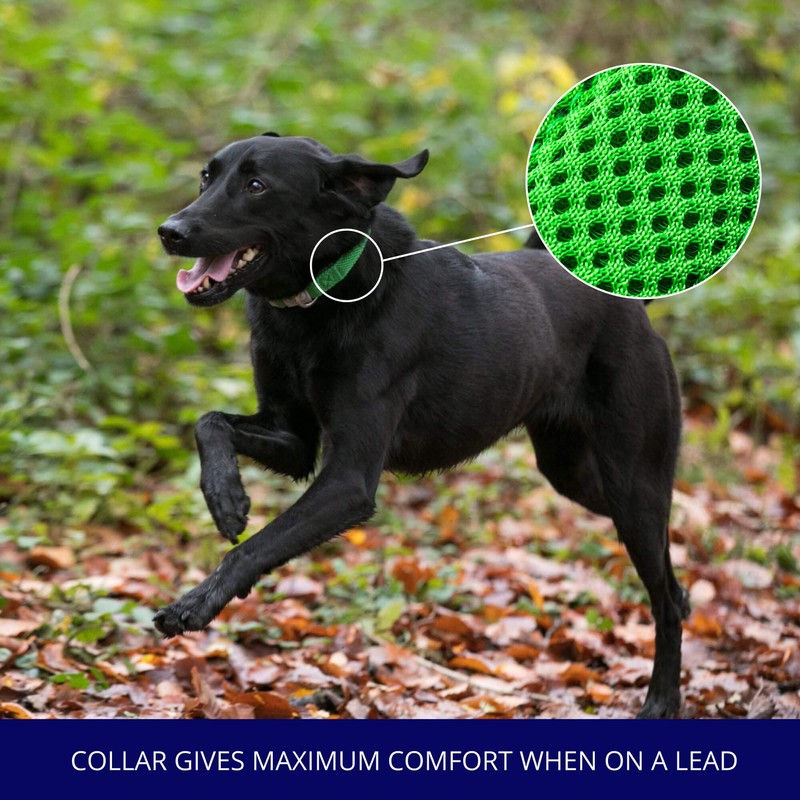 HUGO & HUDSON Dog Collar with Quick Release Safety Buckle