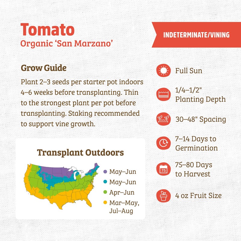 Seed Packet - Tomato 'San Marzano' 100mg