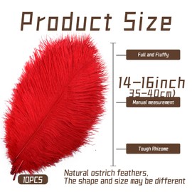 iHUFeather 10pcs Red Ostrich Feathers Natural Bulk 14-16Inch 35-40cm for Wedding Party Centerpieces Easter and Home Decorate Ostrich Feathers