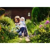 Breoudo 10000+ Mix Wildflower Seeds Bulk Package 34 Varieties Perennial