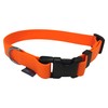 BioThane® 25mm Adjustable Collar with Clip Fastener - Neon Orange