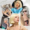 BARSDAR Grey Wig with Fringe, 30 cm Short Grey Wig