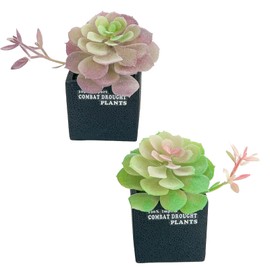JEVA 2Set Artificial Succulent Plants with Succulent Black Cement Flowerpot for Plants Decor Shelf Decor