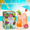Pompadour, Tisana Fredda Sgonfia e Drena, 54 Filtri (3 Confezioni