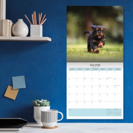 Baker and Bray Puppies Calendar 2025, Large Square Wall Calendar, 16 Month, Puppies Gift Dog Calendar.