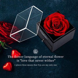 MOKOQI Preserved Rose Flower Gifts for Women Red Real Rose with Heart Necklace Eternal Flowers Rose Gifts for Mom Wife on Mothers Day Birthday