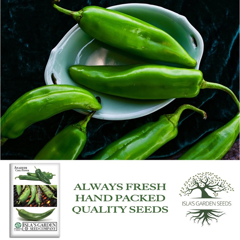 Anaheim Chili Pepper Seeds for Planting (Capsicum annuum) – 100+