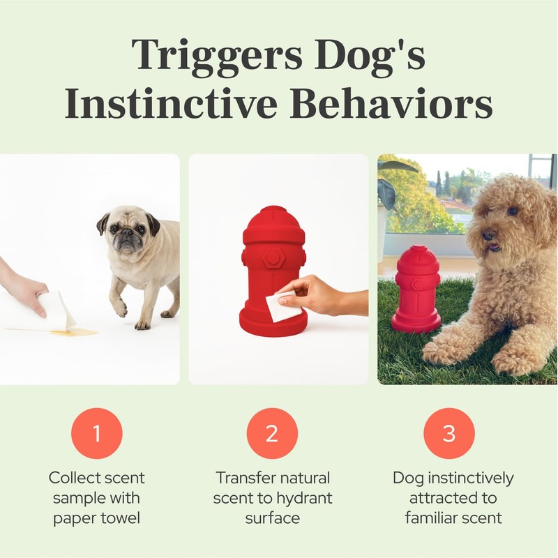 Small Dog Fire Hydrant 4x7 Silicone Soft Potty Training Aid