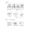 Nursing Products Laboratory B-101 Wheelchair Safety Belt