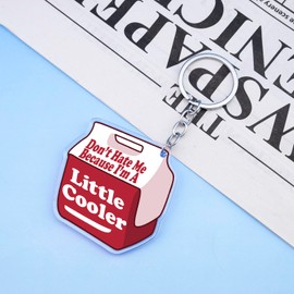 UVIBEW Funny Keychain for Women Men Cool Gifts for Women Silly Keychain Cool Car Accessories Birthday Gifts Cute Key Chains Don't Hate Me Because I'm a Little Cooler