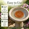 KuuDack Bird Bath Copper Disk – 99.9% Pure Copper, Triple-Point