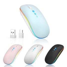 Halpilt LED Wireless Mouse A100S Rechargeable Portable Silent Mouse with Optional USB and Type-C Receiver 3-Speed Adjustable DPI for PC/Mac/Laptop (Frosted Blue)