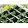 BUSTASEED Tip Out Propagation Kit - Sustainable, Reusable and Extra