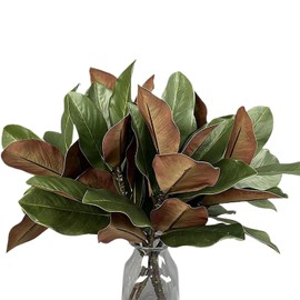 Tallos De Follaje Artificial | Hojas Verdes de Magnolia de 56 cm,Ramas Artificiales Para Decorar Jarrones - Para Interior Exterior Hogar Oficina Mesa Centros De Mesa Boda Fiesta Vacaciones Navidad Dec