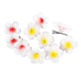 Mikinona Flower Hairpin Set 10pcs Girls Hair Clips Cartoon Design Flower Hair Accessories for Daily Dressing