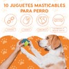 Juguete de Cuerda para Perros, 10pc, Cuerdas para morder y